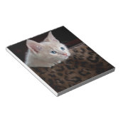 Crème Kitten Met Mooie Blauwe Ogen Notitieblok (Schuin)