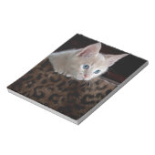 Crème Kitten Met Mooie Blauwe Ogen Notitieblok (Linkerzijde)