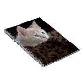 Crème Kitten Met Mooie Blauwe Ogen Notitieboek (Rechterzijde)