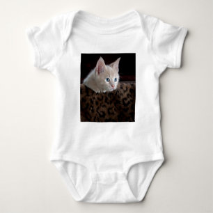 Crème Kitten Met Mooie Blauwe Ogen Romper
