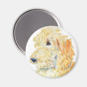 Crème Labradoodle Magnet (Voorkant / Achterkant)