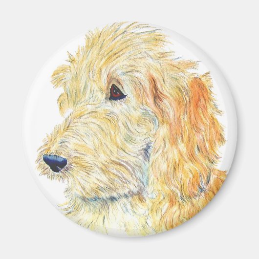 Crème Labradoodle Magnet (Voorkant)