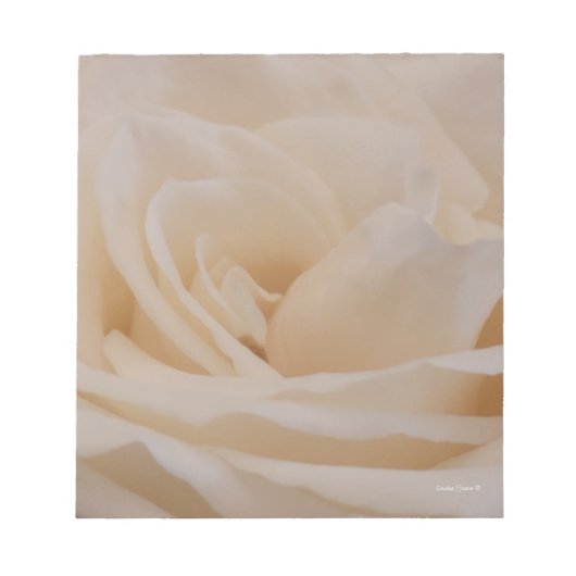 Crème Roos Note Pad Notitieblok (Voorkant)