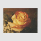 Crème Roos Tissuepapier (Voorkant)