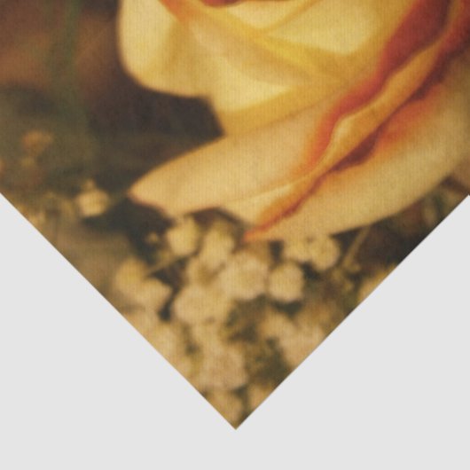 Crème Roos Tissuepapier (Detail)