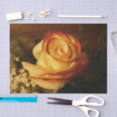 Crème Roos Tissuepapier (Craft)