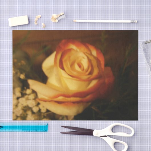 Crème Roos Tissuepapier (Craft)