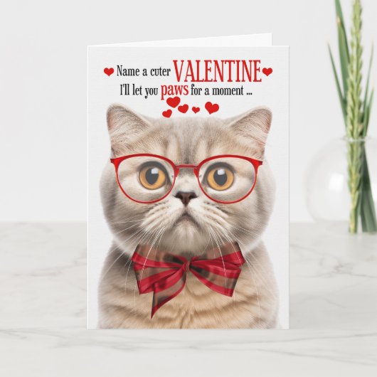 Crème Schotse Fold Cat Humor Valentijnsdag Feestdagen Kaart (Voorkant)