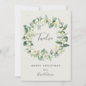 Crème Snowberry+Eucalyptus Table Number Kaart (Voorkant)