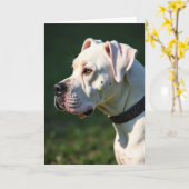 Crème Vaderdag kaart voor honden (Gele Bloem)