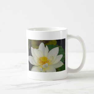 Crème Water Lily02.JPG Koffiemok