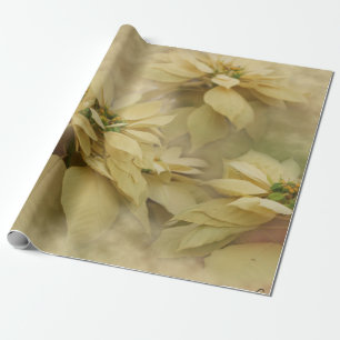Crèmekleurige Poinsettia's Digitale Kunst Cadeaupapier