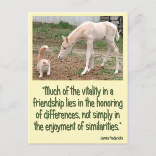 Cremello Companions Friendship Briefkaart (Voorkant)