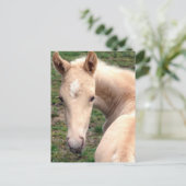Cremello Walking Horse Briefkaart (Staand voorkant)