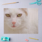 crèmepapier voor kat tissuepapier (Craft)