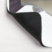 Creoolse Baars Muismat (Hoek)