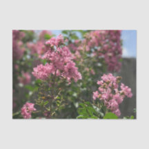 Crepe Myrtle blossom tissuepapier