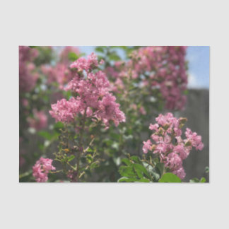 Crepe Myrtle blossom tissuepapier