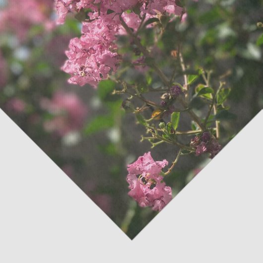 Crepe Myrtle blossom tissuepapier (Detail)