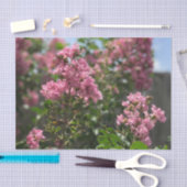 Crepe Myrtle blossom tissuepapier (Craft)