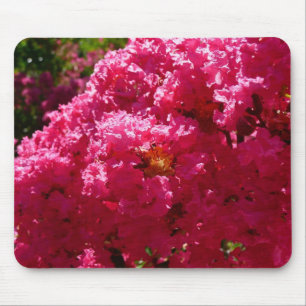 Crepe Myrtle Boom Magenta Bloemen Muismat