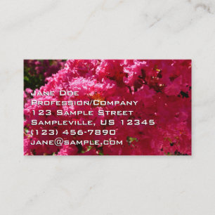 Crepe Myrtle Boom Magenta Bloemen Visitekaartje