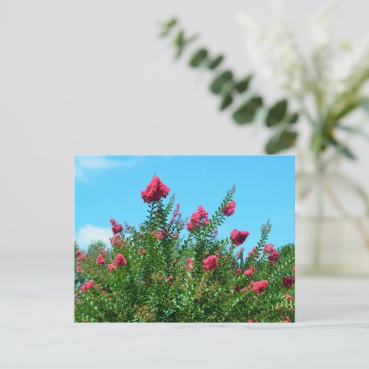 Crepe Myrtle Flowers Briefkaart (Staand voorkant)