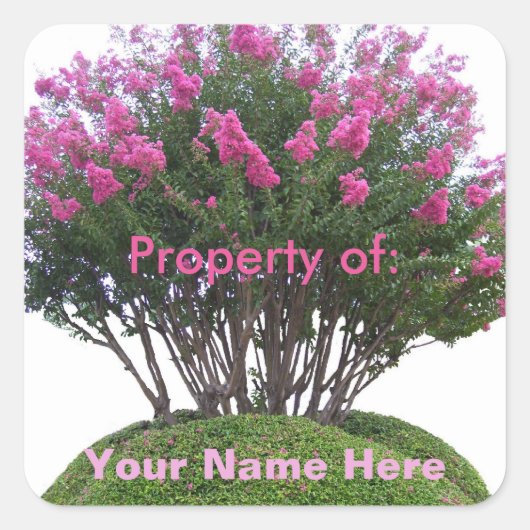 Crepe Myrtle Mound - Bezit van: Vierkante Sticker (Voorkant)