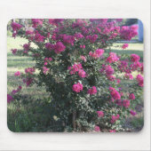 Crepe Myrtle Muismat (Voorkant)
