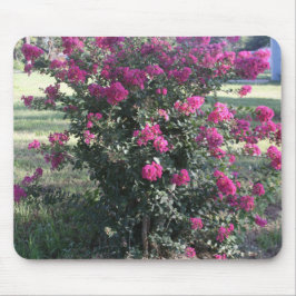 Crepe Myrtle Muismat