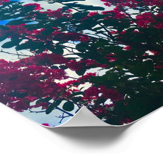 crepe myrtle on a cloudy day poster (Hoek)