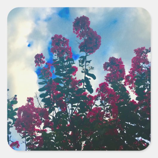 crepe myrtle on a cloudy day vierkante sticker (Voorkant)