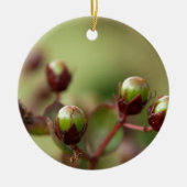 Crepe Myrtle Seed Pods Keramisch Ornament (Voorkant)