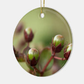 Crepe Myrtle Seed Pods Keramisch Ornament (Links)