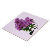 Crepe Myrtle Tegeltje (Zijkant)