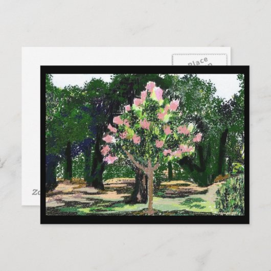 Crepe Myrtle Tree Briefkaart (Voorkant / Achterkant)