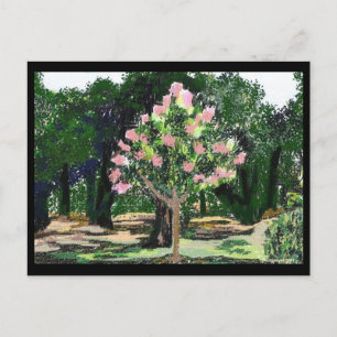Crepe Myrtle Tree Briefkaart