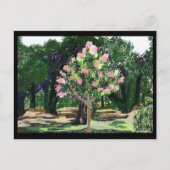 Crepe Myrtle Tree Briefkaart (Voorkant)