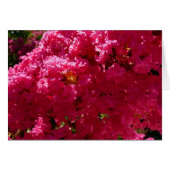 Crepe Myrtle Tree Magenta Floral (Voorkant Horizontaal)