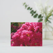 Crepe Myrtle Tree Magenta Floral Briefkaart (Staand voorkant)