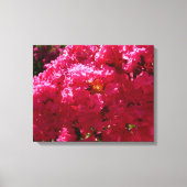 Crepe Myrtle Tree Magenta Floral Canvas Afdruk (Voorkant)