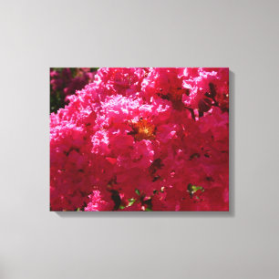 Crepe Myrtle Tree Magenta Floral Canvas Afdruk
