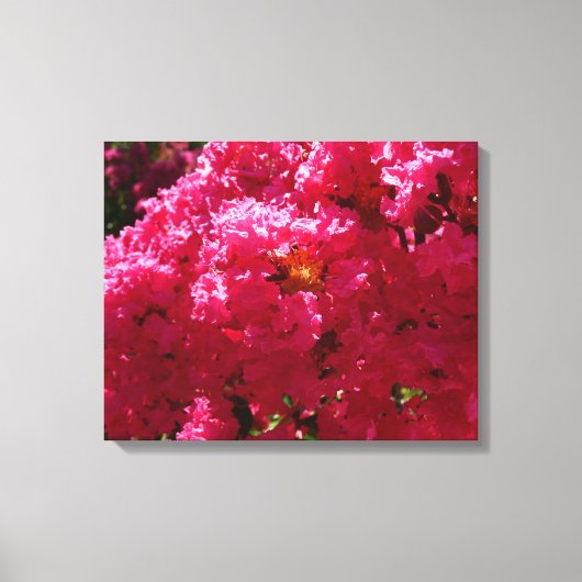 Crepe Myrtle Tree Magenta Floral Canvas Afdruk (Voorkant)