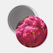 Crepe Myrtle Tree Magenta Floral Magneet (Voorkant / Achterkant)