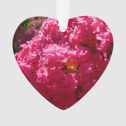 Crepe Myrtle Tree Magenta Floral Ornament (voorkant)
