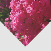 Crepe Myrtle Tree Magenta Floral Tissuepapier (Detail)