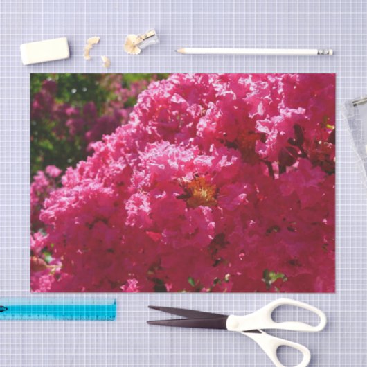 Crepe Myrtle Tree Magenta Floral Tissuepapier (Craft)
