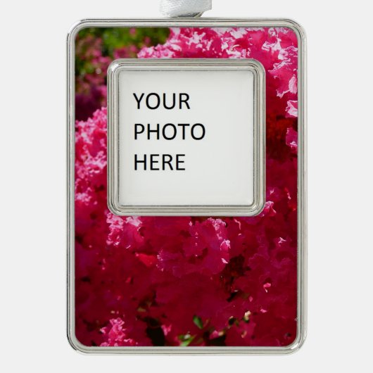 Crepe Myrtle Tree Magenta Floral Verzilverd Omlijst Ornament (Voorkant)
