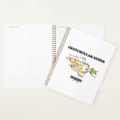 Crepusculaire genen in DNA-Humor Planner (Display)
