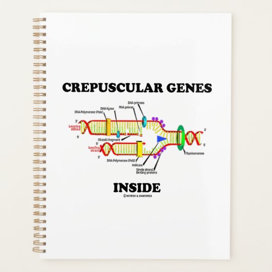 Crepusculaire genen in DNA-Humor Planner (Voorkant)